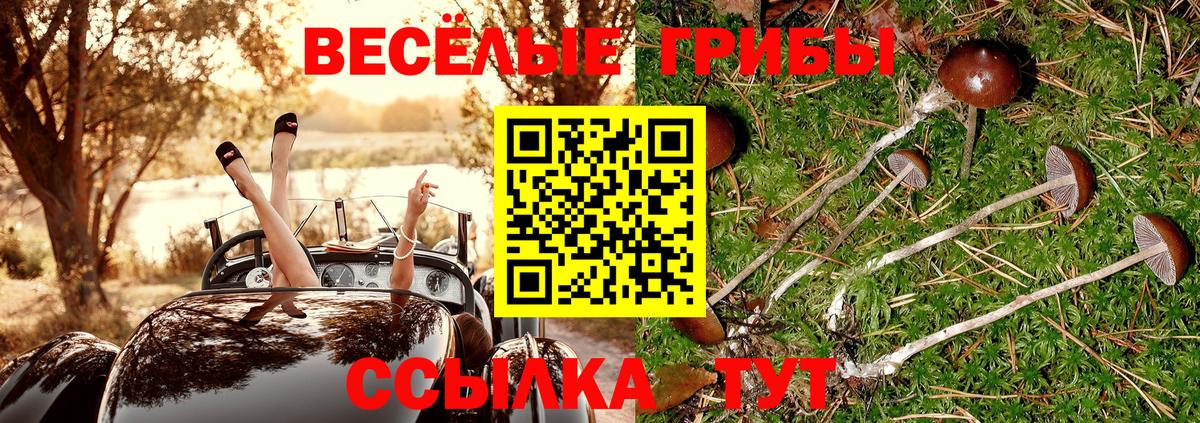 Псилоцибиновые грибы прущие грибы Магадан