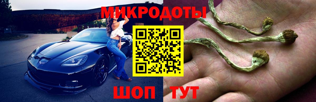Магадан  Галлюциногенные грибы мицелий  Вход с VPN 